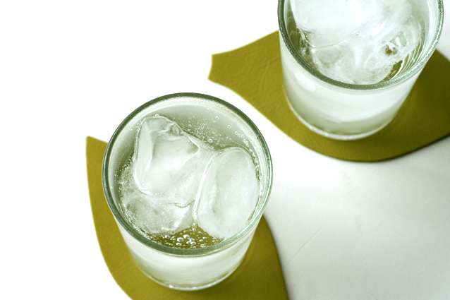 リーフ コースター